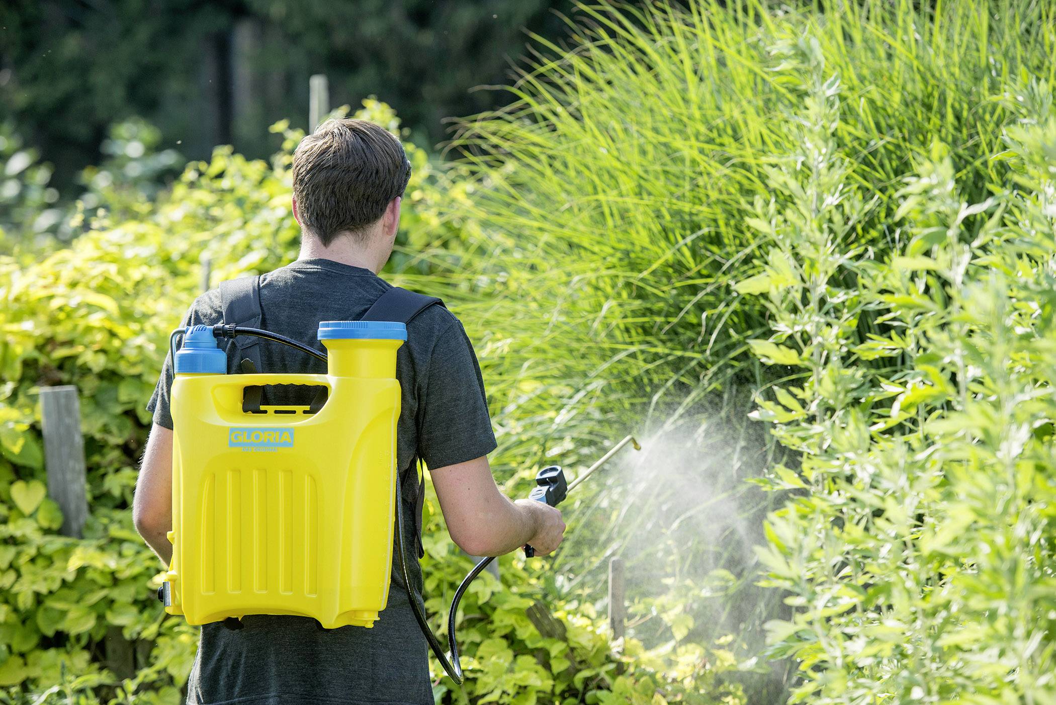 Una persona sta spruzzando piante in un giardino con uno spruzzatore a zaino giallo. Erba alta e cespugli circondano la scena.