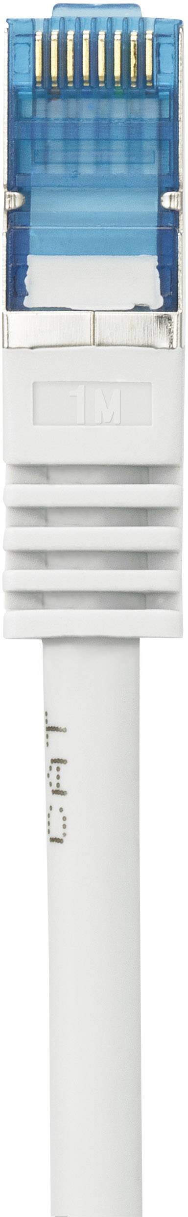 Un cavo Ethernet con connettore RJ45 blu, adatto per connessioni di rete cablate.