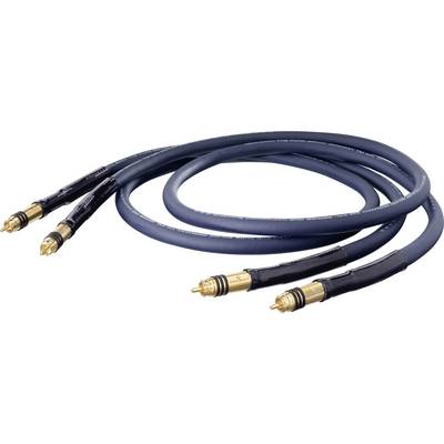 Due cavi audio con connettori placcati in oro per una trasmissione del suono di alta qualità.