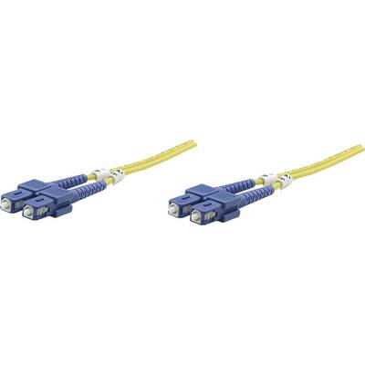 Due connettori SC blu su cavi in fibra ottica gialli, utilizzati nelle telecomunicazioni per trasmissioni dati ad alta velocità.