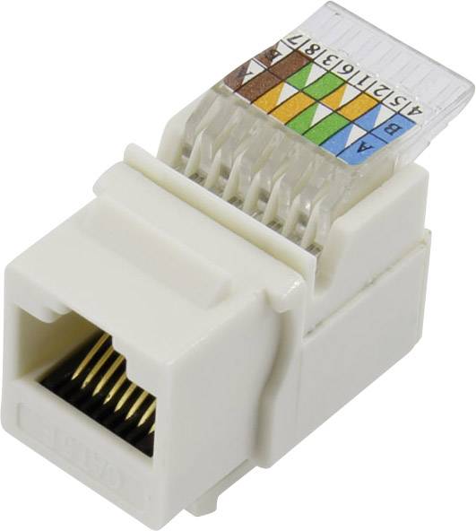 Presa modulare, presa senza bisogno di attrezzi, angolata, poli: 8P8C 93013c1173, grigia Conrad Components 1425896, 1 pz.