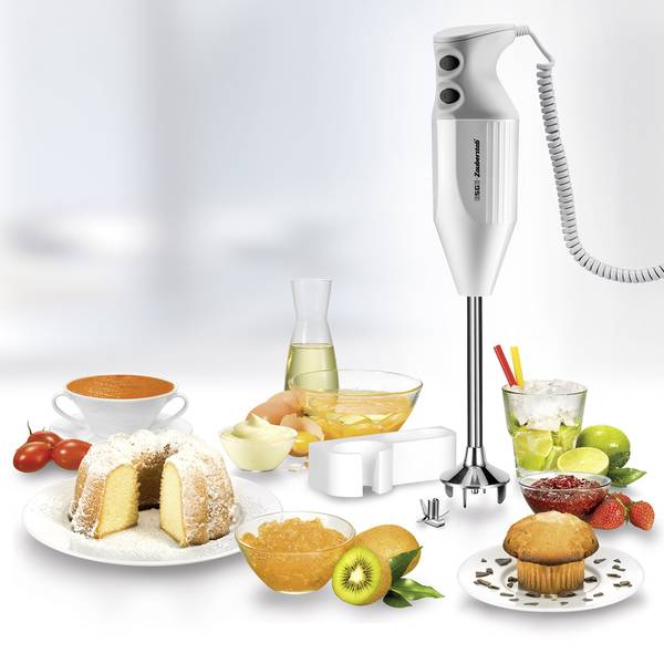 Frullatori a immersione - ESGE Maitre Frullatore ad immersione 350 W Bianco-Grigio - Frullatori a immersione - ESGE Maitre Frullatore ad immersione 350 W Bianco-Grigio -