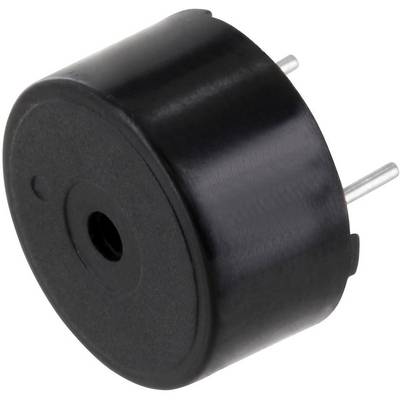 Un segnalatore piezoelettrico nero, cilindrico, con due connettori metallici.