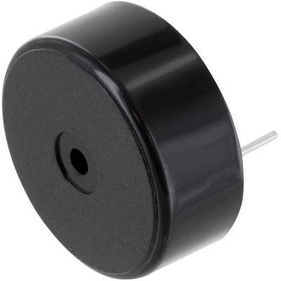 Cicalino piezoelettrico rotondo nero con un perno metallico sporgente, utilizzato per la segnalazione acustica in dispositivi elettronici.