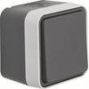 Berker Interruttore a croce Superficie W.1 Grigio, Grigio luminescente 30773505 1 pz.