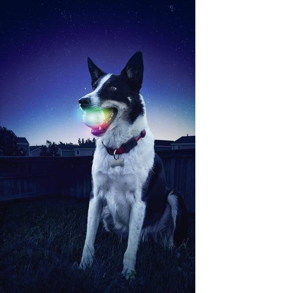 Prodotti per animali domestici - Palla di lancio a LED NITE Ize GlowStreak Trasparente 1 pz. - Prodotti per animali domestici - Palla di lancio a LED NITE Ize GlowStreak Trasparente 1 pz. -
