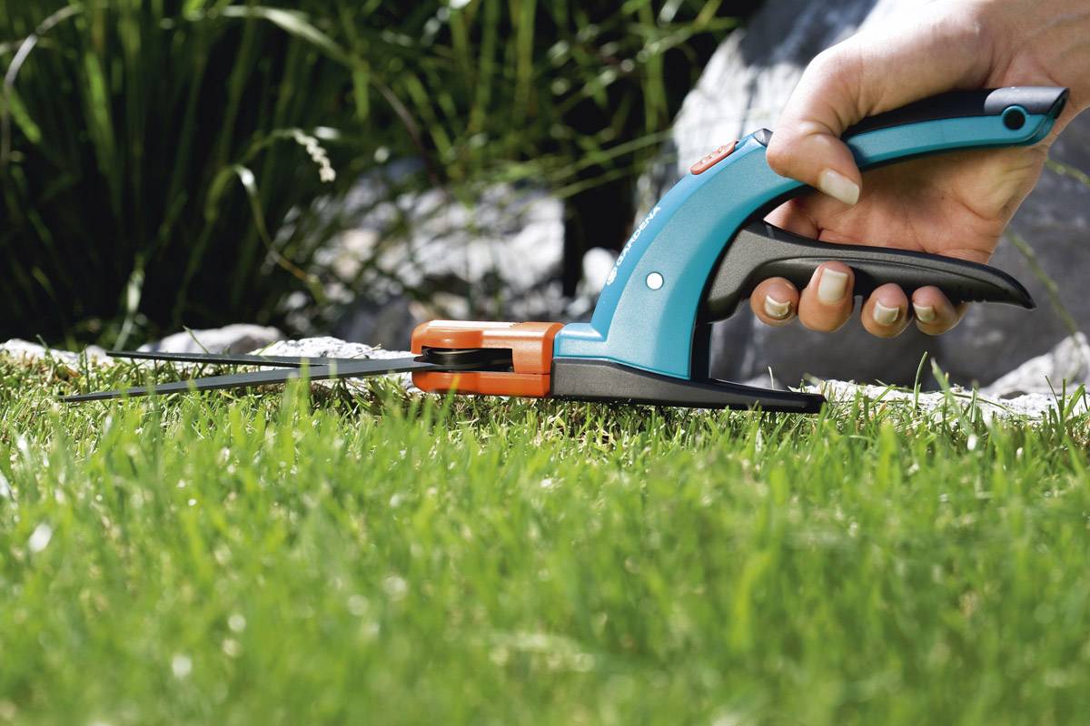 Una mano tiene un paio di forbici da giardino blu e arancioni, che tagliano rasente l'erba. Sullo sfondo si vedono pietre e piante.