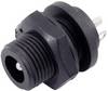 TRU COMPONENTS Connettore per bassa tensione Presa 5.5 mm 2.5 mm 1 pz.