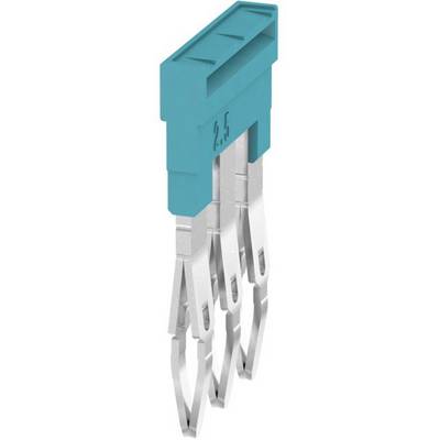 Un connettore elettrico con involucro blu in plastica nella parte superiore, che mostra quattro contatti metallici rivolti verso il basso.