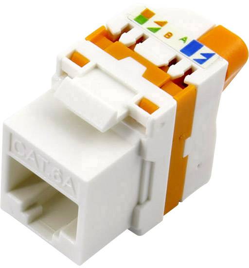 TRU COMPONENTS Connettore RJ45, CAT 6a 93038C364 Giunto dritto Numero di poli 8 Bianco, Arancione 1 pz.