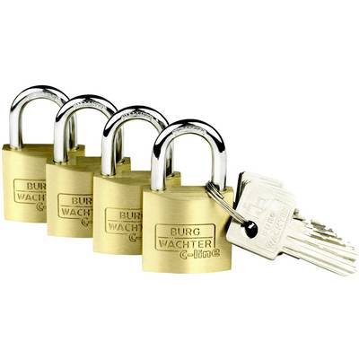 Burg Wächter 4er Set Set Quadro 222 30 SB Hangslot Gelijksluitend Messing Sleutelslot 1517464 Burg Wächter 4er Set Set Quadro 222 30 SB Hangslot Gelijksluitend Messing Sleutelslot 1517464