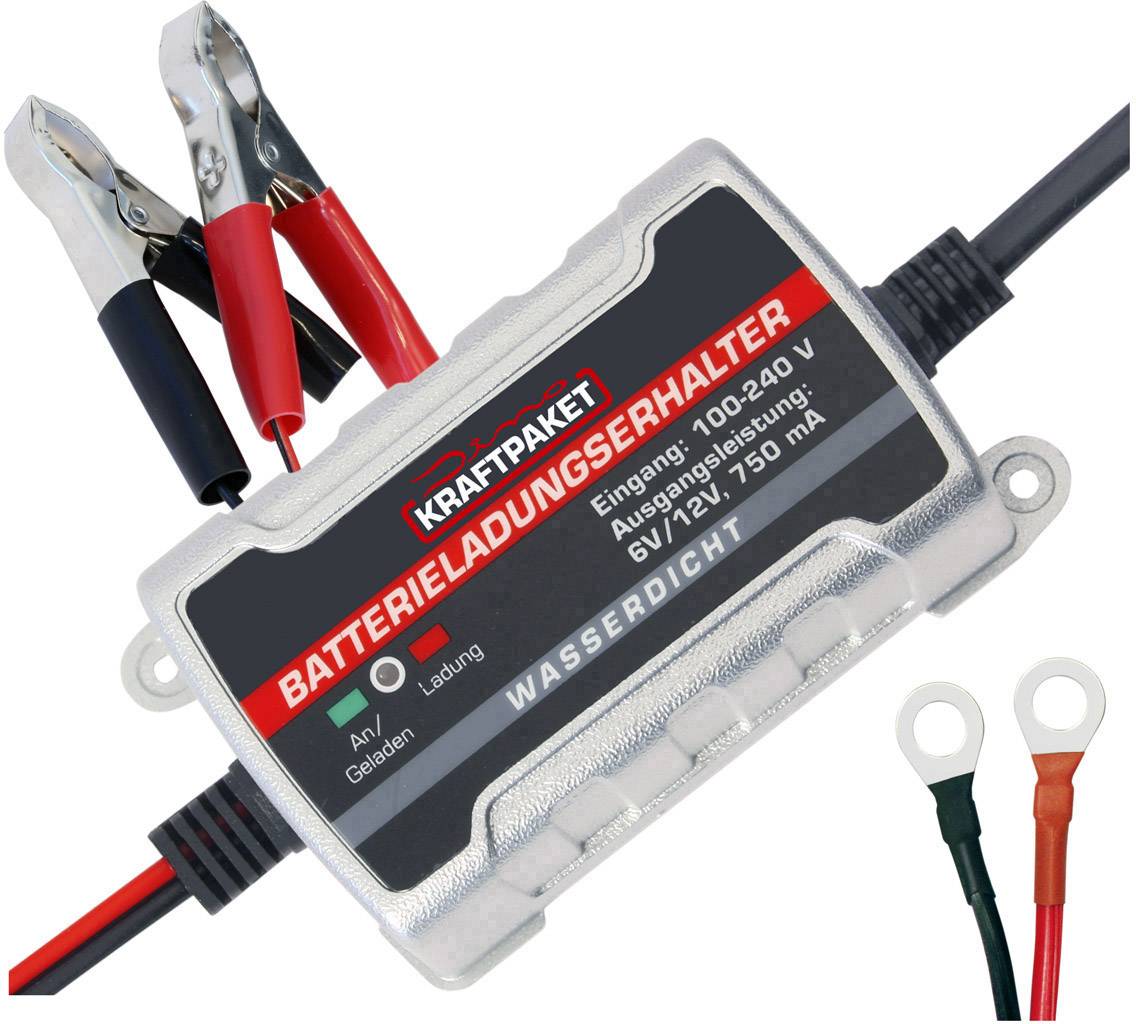 Caricabatterie per batterie al piombo per auto e moto 6V/12V 0,75A con  connettori ad