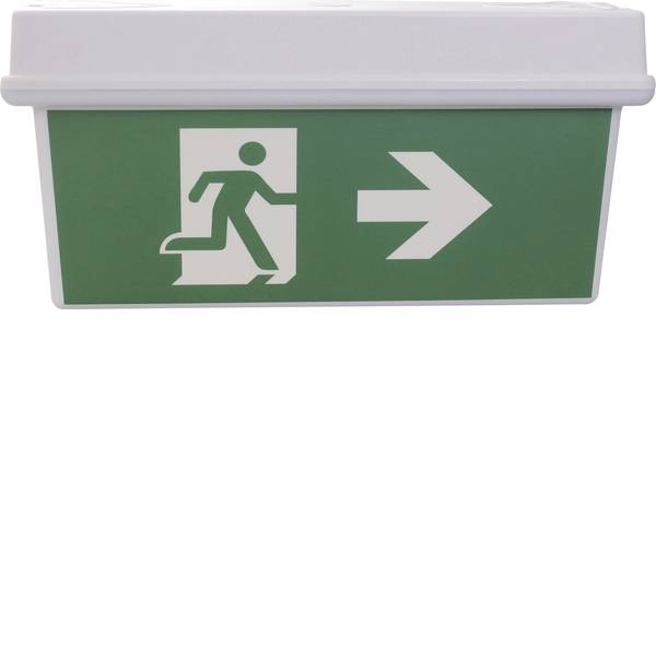 Segnaletica per uscite d`emergenza - Sensorit 0306 Indicazione via di fuga illuminata Montaggio a soffitto - Segnaletica per uscite d`emergenza - Sensorit 0306 Indicazione via di fuga illuminata Montaggio a soffitto -