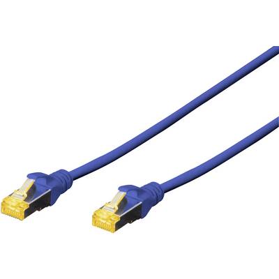 Cavo Ethernet blu con due connettori RJ45 alle estremità, idoneo per installazioni di rete.