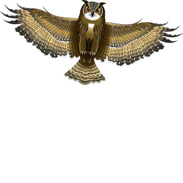 Aquiloni - Aquilone statico Monofilo Günther Flugspiele Gufo Larghezza estensione 1220 mm Intensità forza del vento 3 - 6 bft - Aquiloni - Aquilone statico Monofilo Günther Flugspiele Gufo Larghezza estensione 1220 mm Intensità forza del vento 3 - 6 bft -