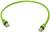 Cavo Ethernet verde con due connettori RJ45 alle estremità, utilizzato per collegare dispositivi di rete.