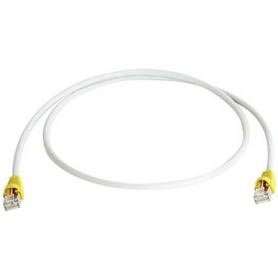 Un cavo Ethernet bianco con connettori gialli alle estremità, utilizzato per connessioni di rete.
