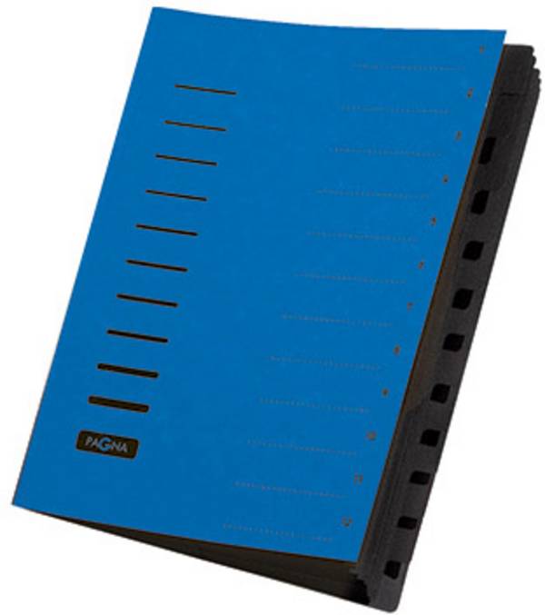 PAGNA Pagna 40059-02, Blau, Porträt, A4, 245 mm, 320 mm 1554275  Blu DIN A4 Cartone truciolato Numero scomparti: 12