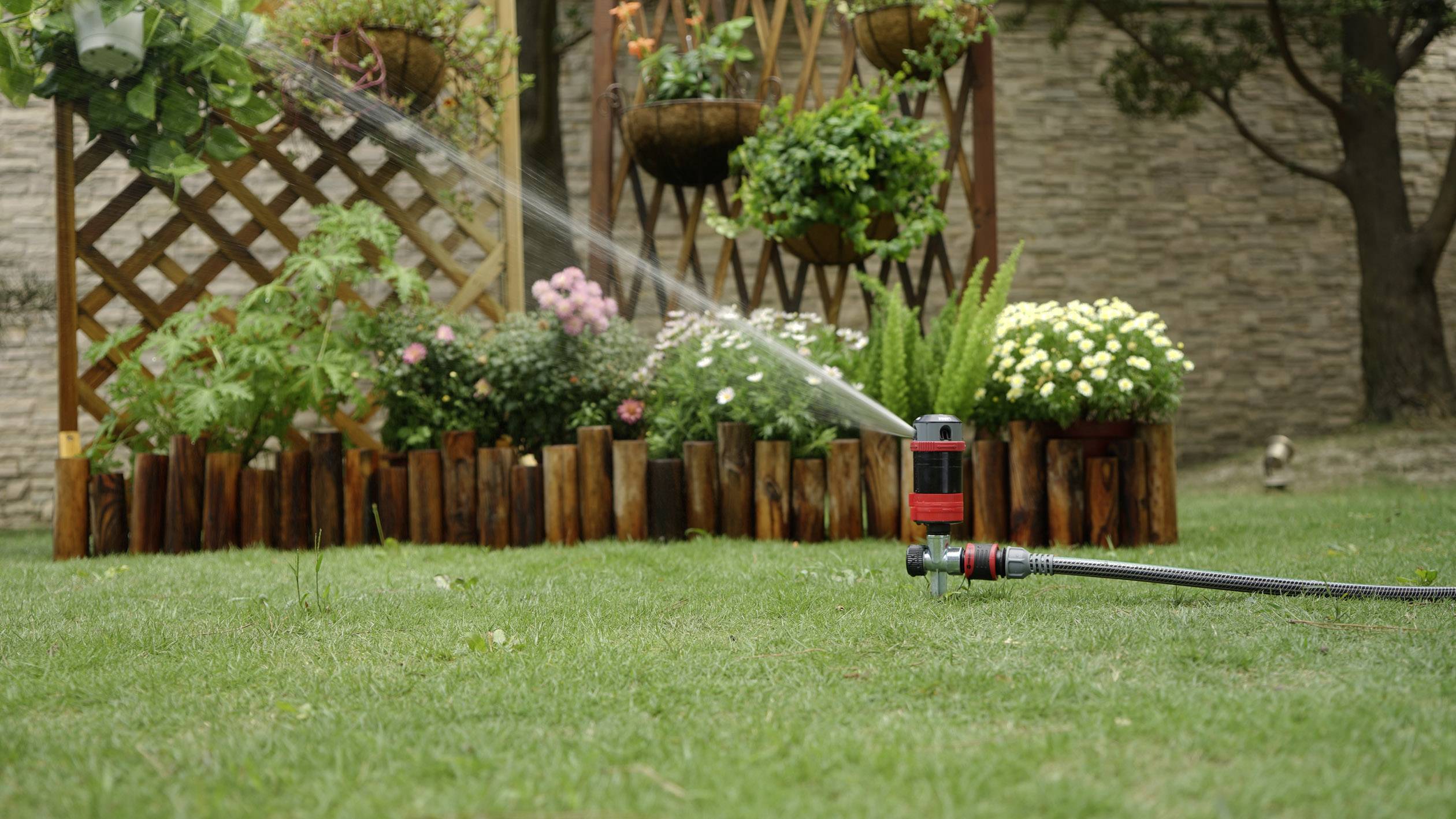 Un irrigatore sta innaffiando un prato curato davanti a un'area giardino decorata con fiori ed elementi in legno.