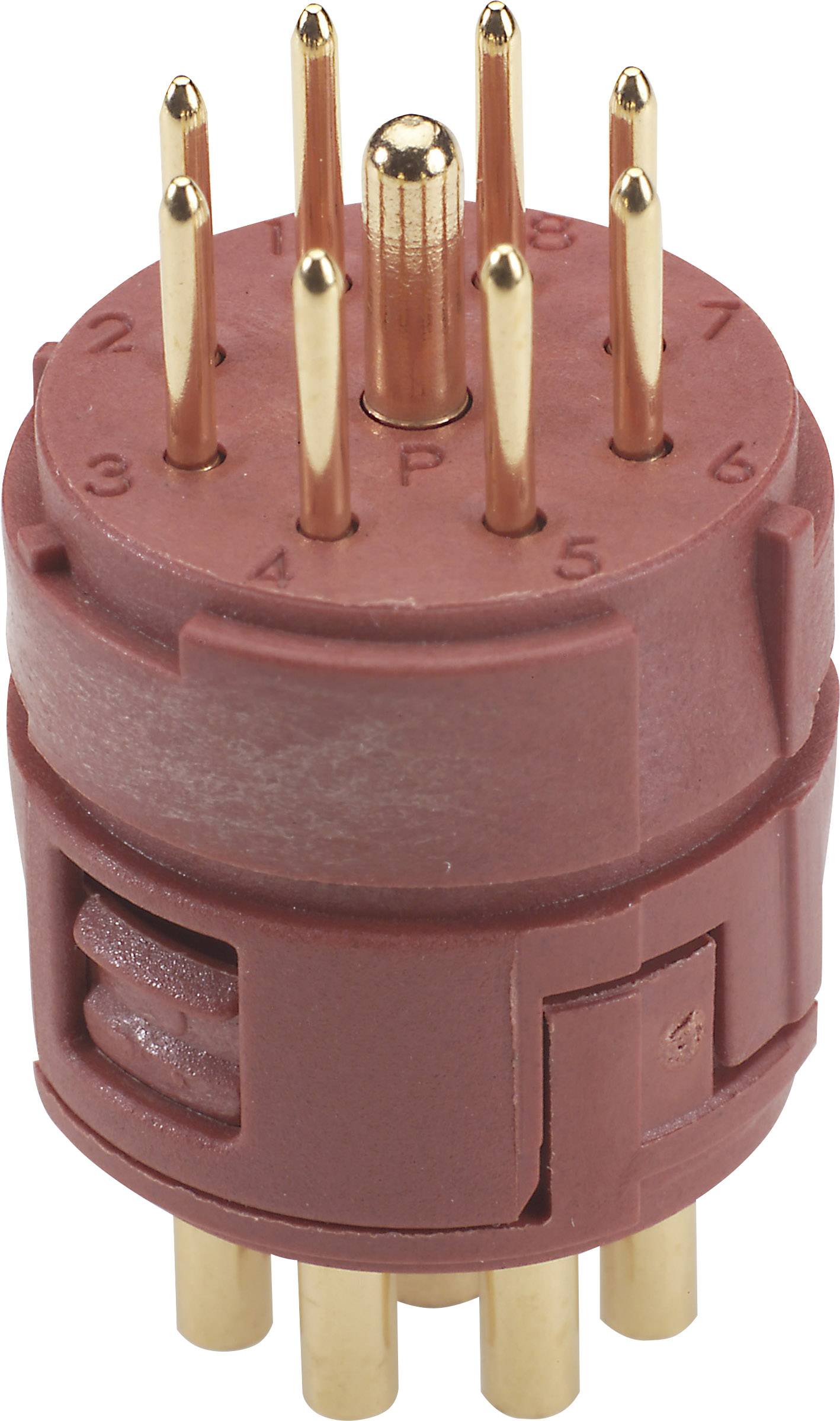 Una spina elettrica rotonda, marrone, con più pin dorati, numerati da 1 a 7.