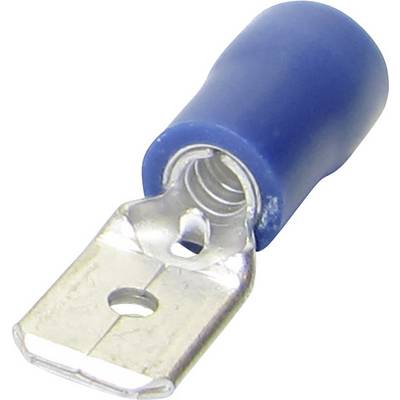 Un capocorda metallico blu con un foro nella piastrina, utilizzato per collegare conduttori elettrici.