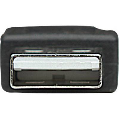 Primo piano di una porta USB rettangolare, inserita in un involucro di plastica nera.