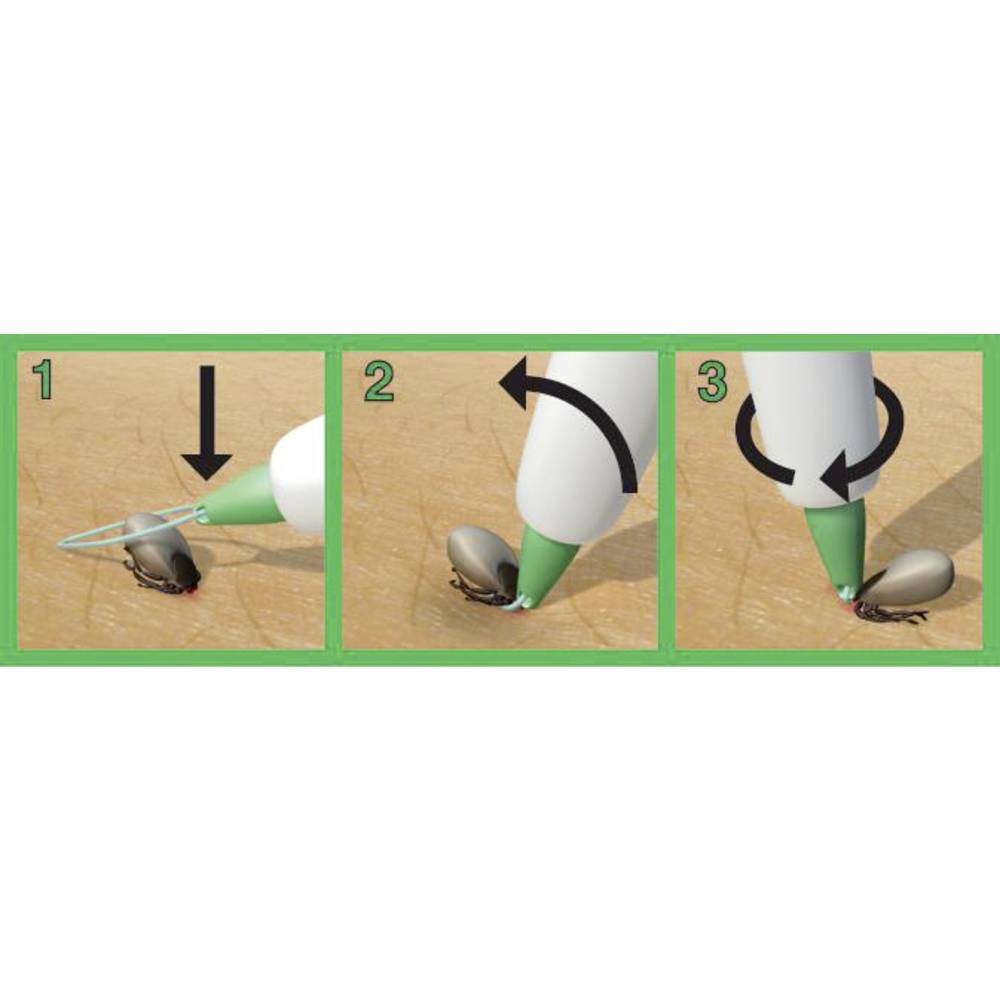 6 Passaggi Comprovati Per Rimuovere Una Zecca Da Un Gatto - Foto 12