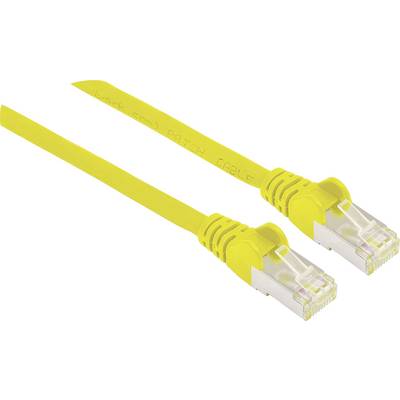 Due cavi Ethernet gialli con connettori, utilizzati per connessioni di rete.