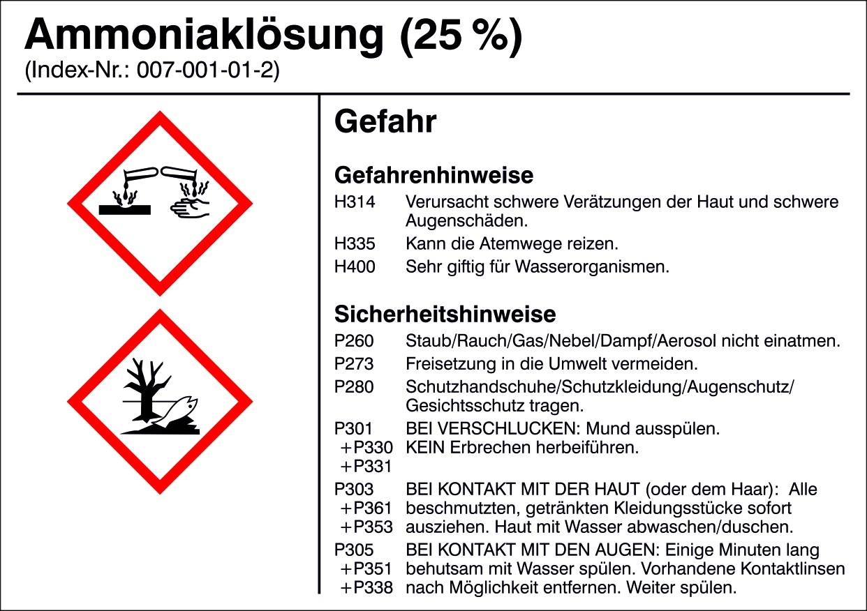 SafetyMarking 21.B1200.02 Etichetta per prodotti pericolosi G002 Soluzione di ammoniaca Pellicola adesiva (L x A) 105 mm x 74 mm 1 pz.
