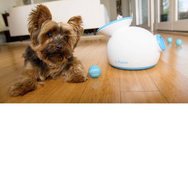 Prodotti per animali domestici - Lancia palle iFetch Original Bianco-Blu 1 pz. - Prodotti per animali domestici - Lancia palle iFetch Original Bianco-Blu 1 pz. -