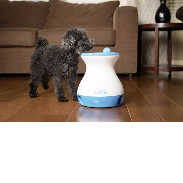 Prodotti per animali domestici - Lancia palle iFetch Frenzy Bianco-Blu 1 pz. - Prodotti per animali domestici - Lancia palle iFetch Frenzy Bianco-Blu 1 pz. -