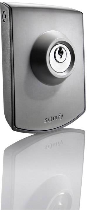 Telecomando a chiave con filo per motore di cancello o garage contatto asciutto Somfy 2400597