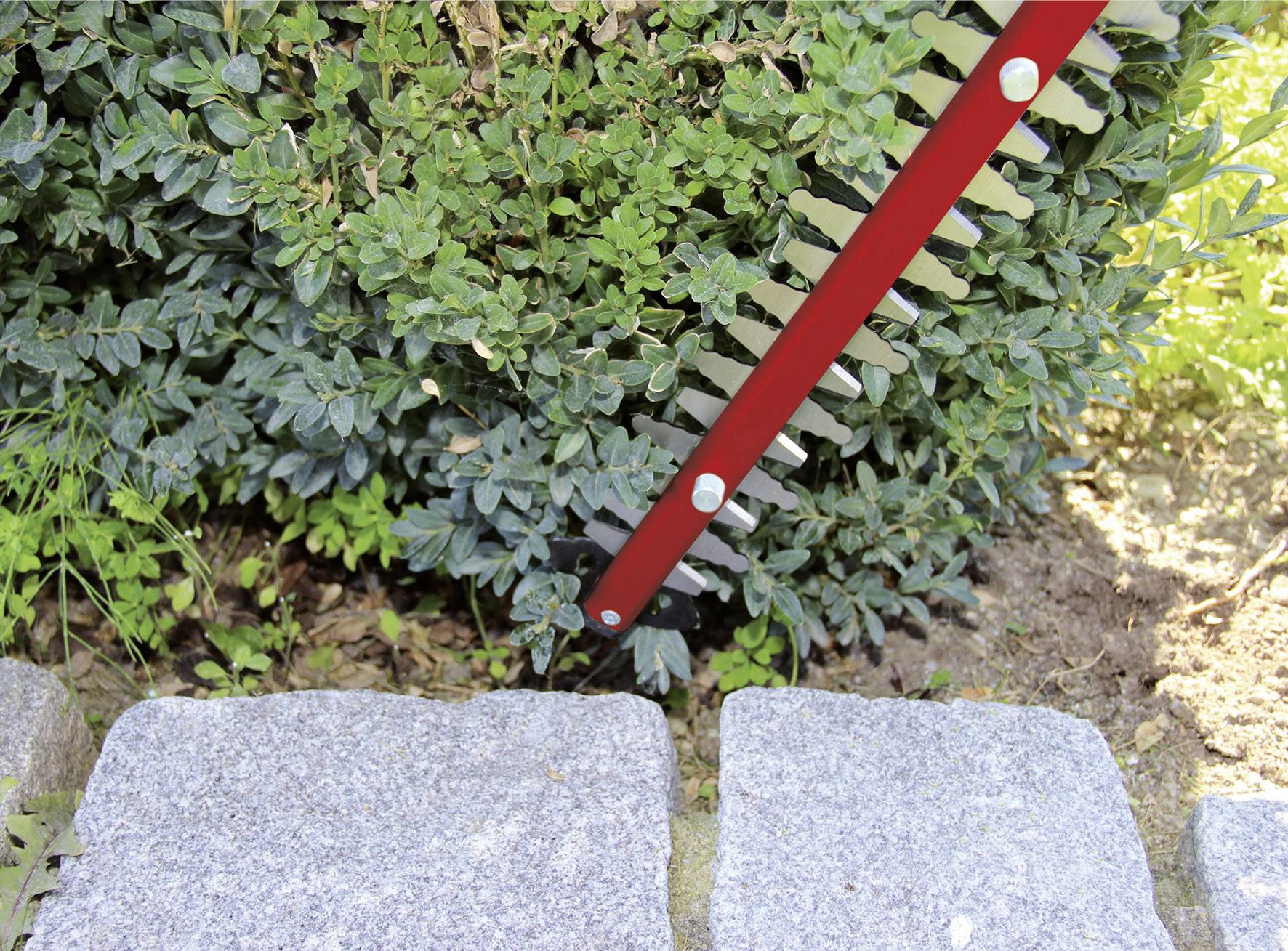 Un tagliasiepi rosso taglia fogliame verde in un giardino, vicino a un viale pavimentato.