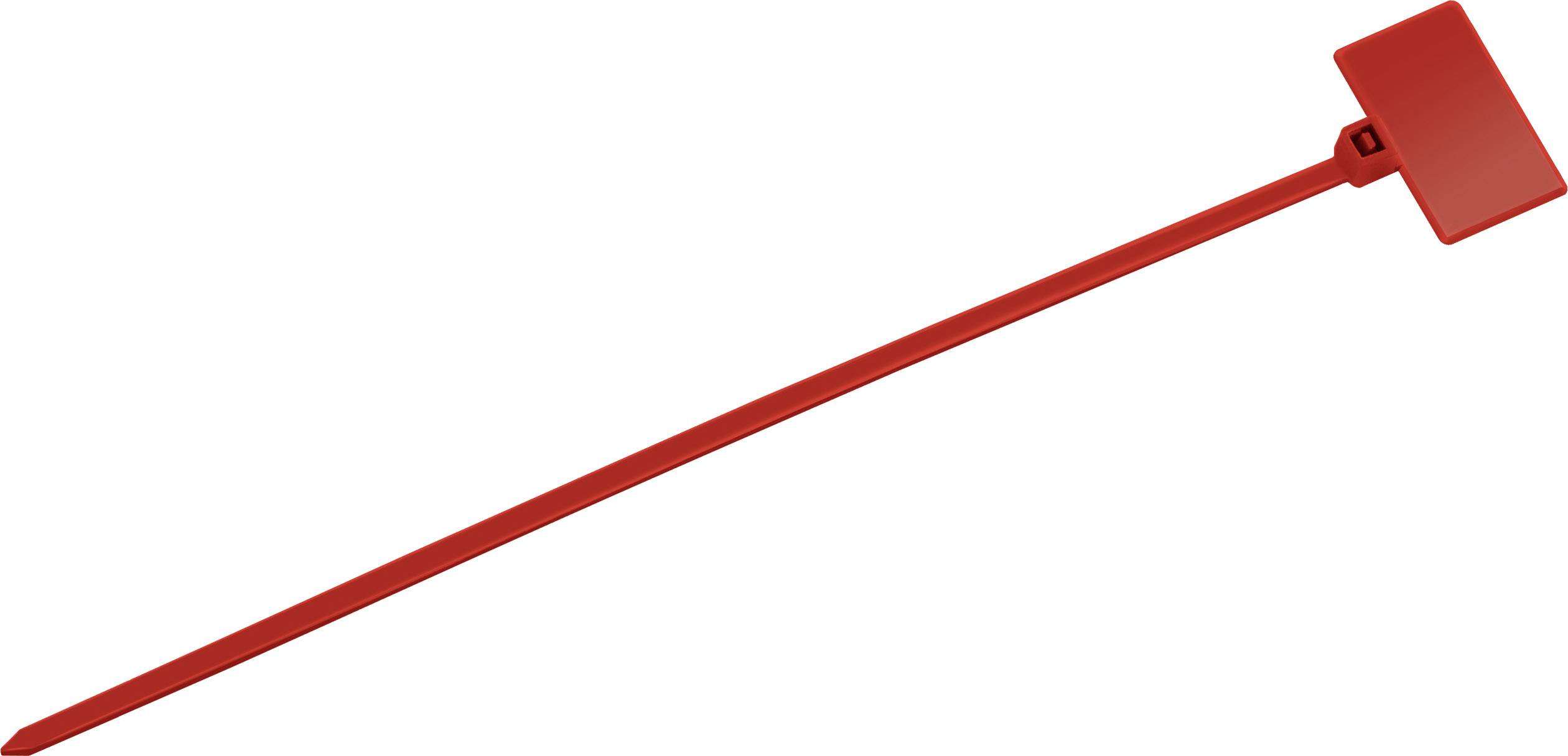 Fascetta stringicavo rossa con elemento di chiusura rettangolare, adagiata su sfondo bianco.