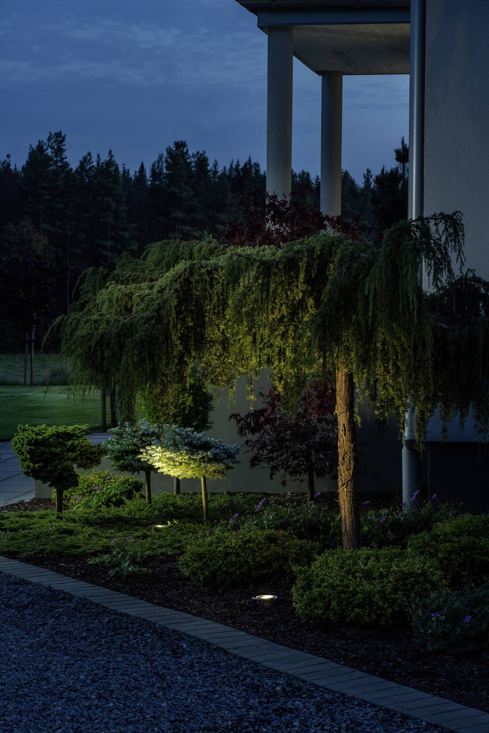 Vista di un giardino illuminato al crepuscolo, con un albero in primo piano e un edificio moderno sullo sfondo.
