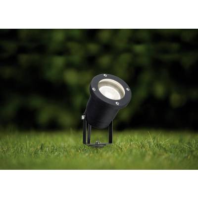 Un proiettore nero illumina verso l'alto su un prato verde. Lo sfondo è sfocato con vegetazione verde.