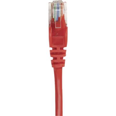 Un cavo Ethernet rosso con un connettore trasparente che mostra i cavi interni di vari colori.
