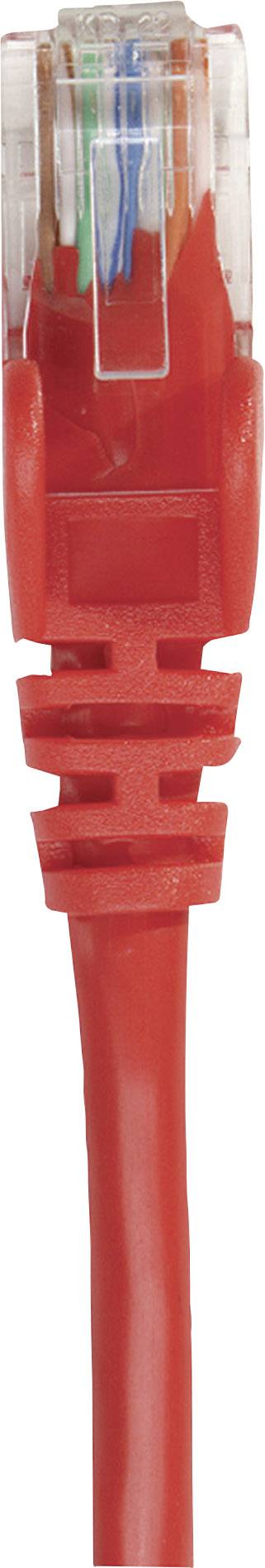 Cavo di rete rosso con connettore RJ45 trasparente, idoneo per connessioni Ethernet.
