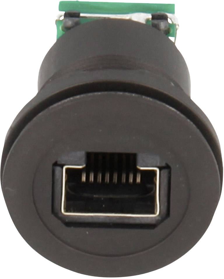 'Primo piano di un connettore Ethernet, vista frontale, con contatti metallici visibili. Il design della presa è rotondo, con un involucro in plastica.'