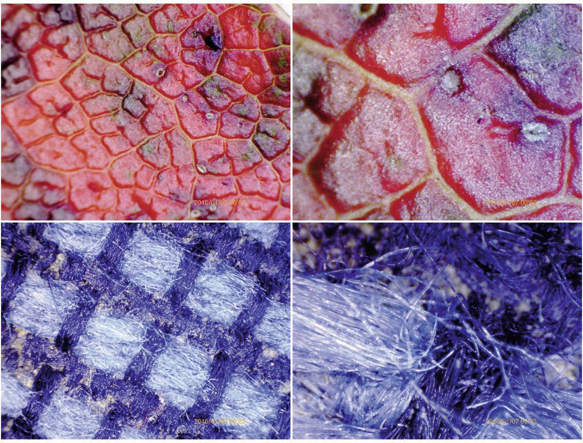 Dettaglio di texture: In alto a sinistra e a destra si vedono superfici rosse e squamose simili a petali di fiore; in basso a sinistra un motivo blu a quadri; in basso a destra una struttura blu fibrosa.