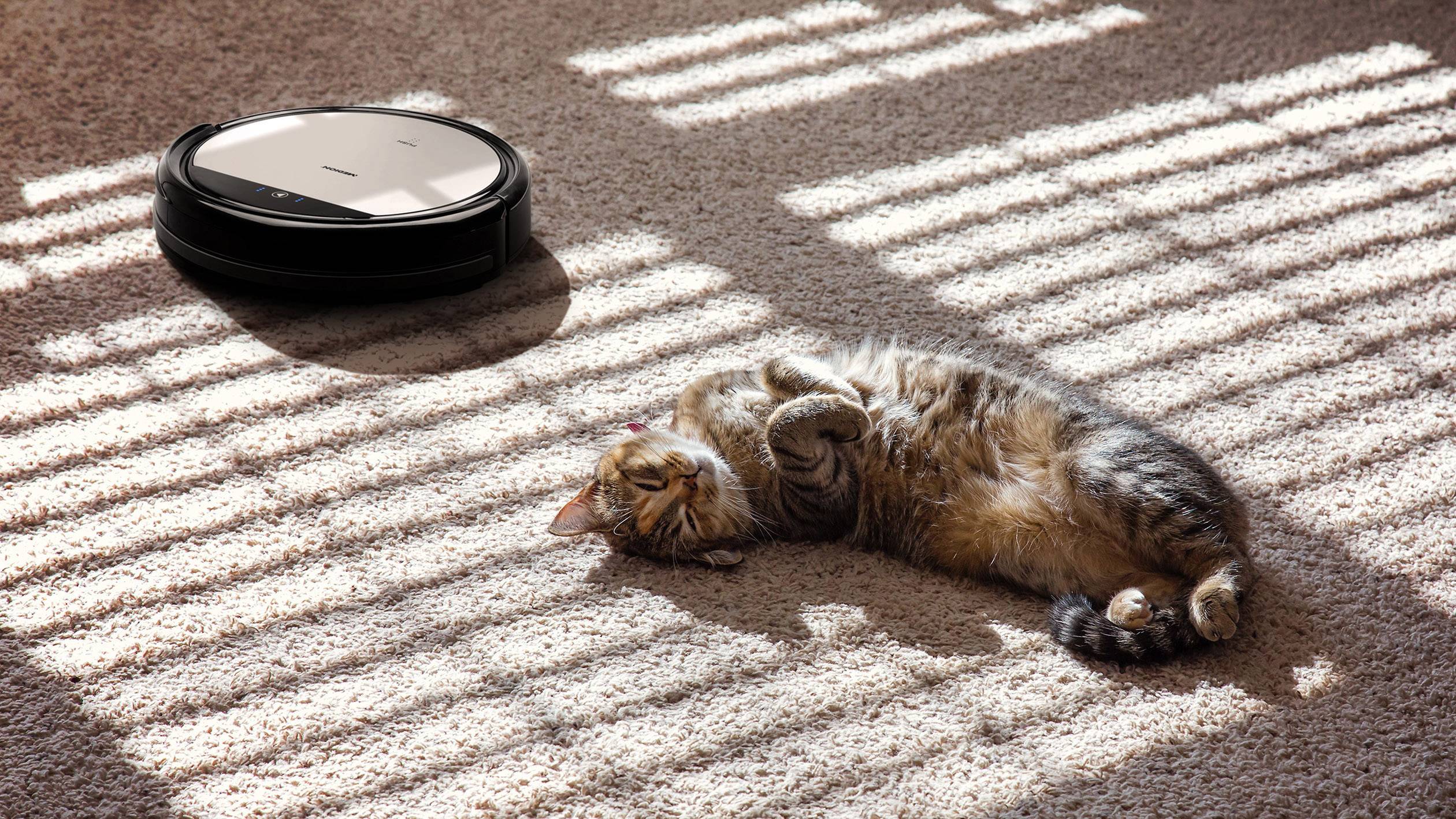 Un gatto giace rilassato su un tappeto illuminato dal sole mentre un robot aspirapolvere si avvicina.