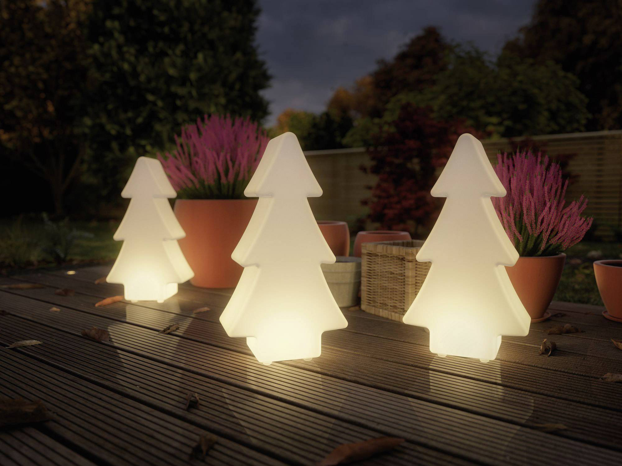 Tre forme di alberi di pino illuminate poggiano su una terrazza, circondati da vasi di fiori e foglie autunnali al crepuscolo.