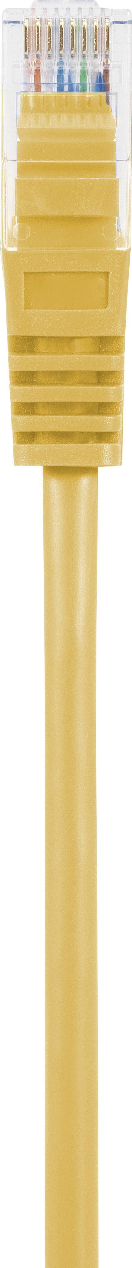 Un cavo Ethernet giallo con un connettore trasparente, utilizzato per connessioni di rete.