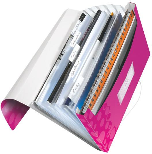 Leitz Archivio a soffietto 4589-00-23 Rosa 1 pz.-2