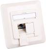 EFB Elektronik Presa di rete Da incasso Inserto con piastra centrale CAT 6A 2 Porte Bianco puro (RAL 9010)