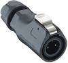 Lutronic 2350 08 T06 CB T Connettori circolari Spina dritta Tot poli: 8 1 pz.