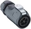 Lutronic 2650 04 T12 CB T Connettori circolari Spina dritta Tot poli: 4 1 pz.