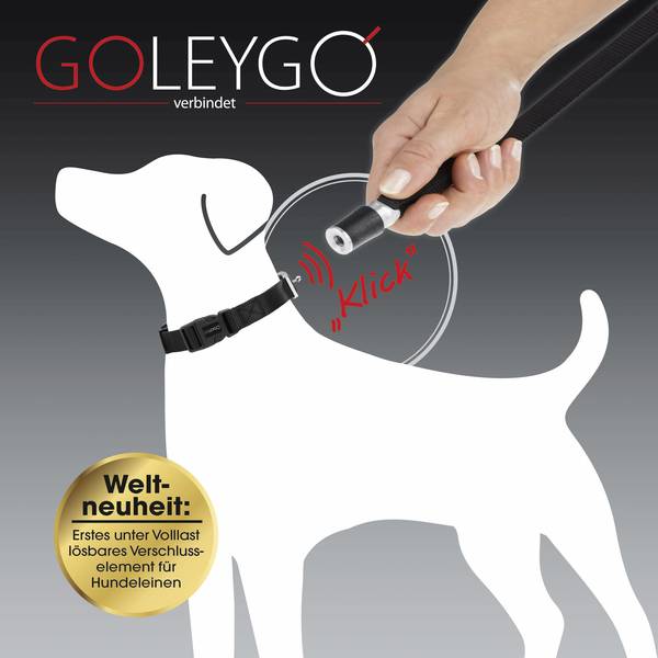 Prodotti per animali domestici - Guinzaglio per cani GoLeyGo Nero Misura S 1 pz. - Prodotti per animali domestici - Guinzaglio per cani GoLeyGo Nero Misura S 1 pz. -