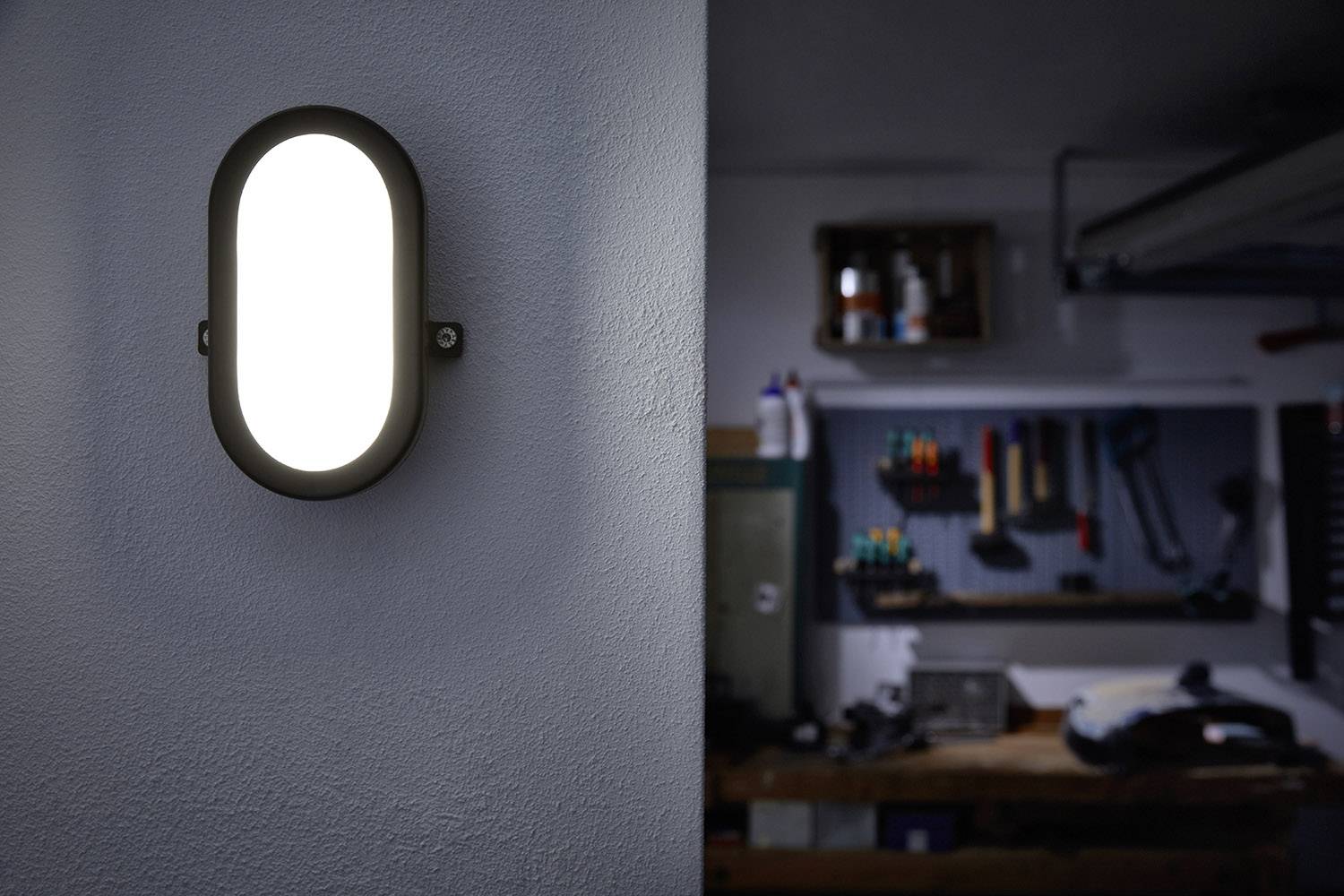 LEDVANCE LED BULKHEAD (EU) L Lampada LED impermeabile LED (monocolore) LED a montaggio fisso 5.5 W Bianco freddo Bianco