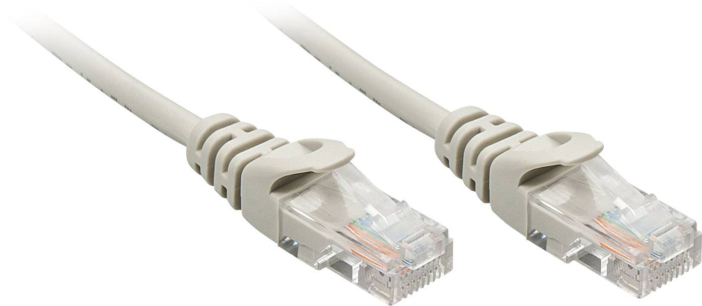Due cavi Ethernet grigi con connettori RJ-45 trasparenti alle estremità, idonei per connessioni di rete e trasmissione dati.